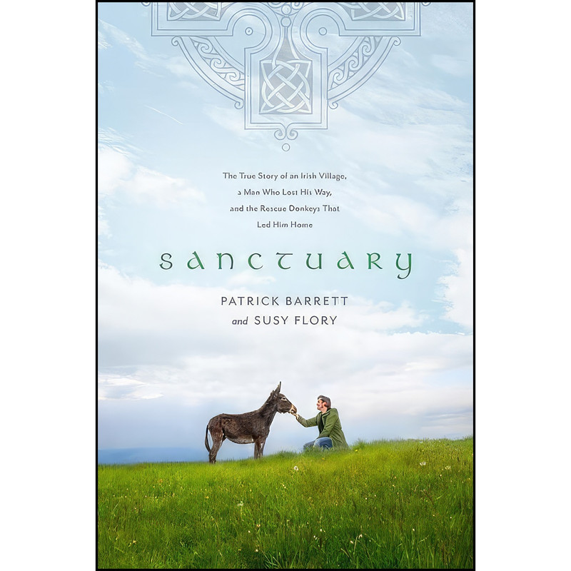 کتاب Sanctuary اثر جمعي از نويسندگان انتشارات Tyndale Momentum