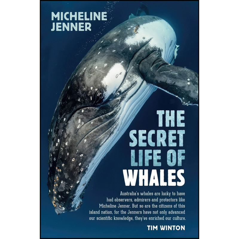 کتاب The Secret Life of Whales اثر Micheline Jenner انتشارات NewSouth