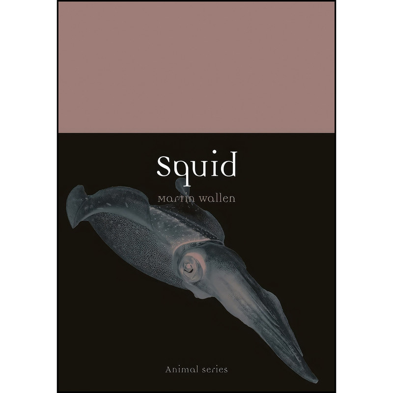 کتاب Squid اثر Martin Wallen انتشارات Reaktion Books کتاب Squid اثر Martin Wallen انتشارات Reaktion Books