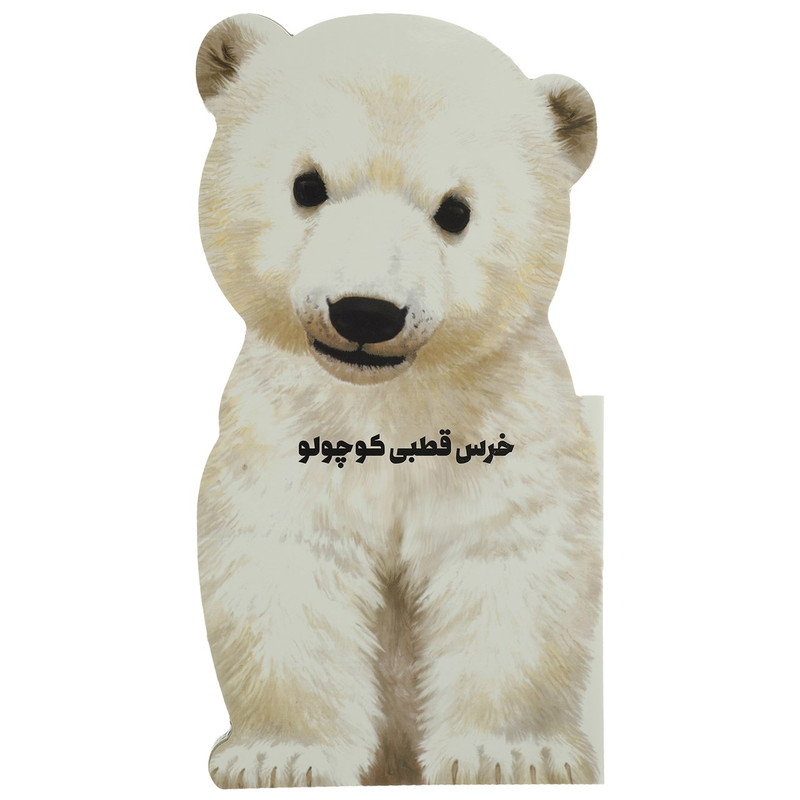 کتاب داستان زندگی خرس قطبی کوچولو اثر جیووانی کاویزل کتاب داستان زندگی خرس قطبی کوچولو اثر جیووانی کاویزل