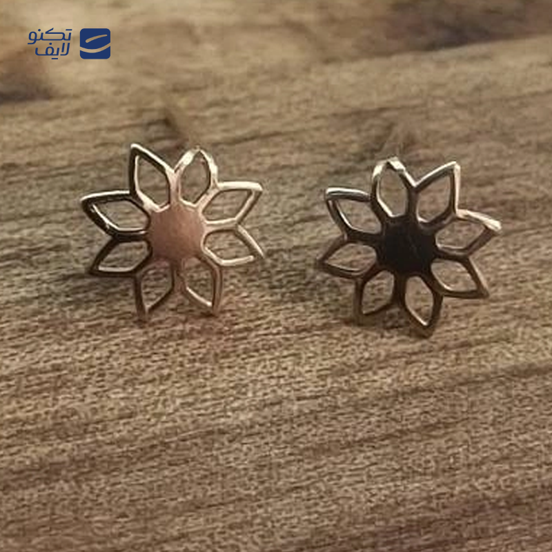 gallery-گوشواره طلا زنانه اپال گلد مدل میخی جوجه 0196 copy.png