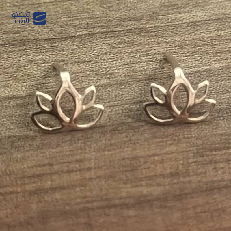 gallery-گوشواره طلا زنانه اپال گلد مدل میخی گل 0194 copy.png