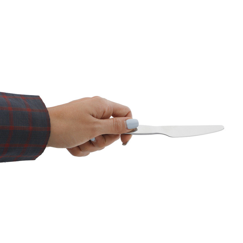 کارد میوه خوری  صنایع استیل ایران مدل viola بسته 6 عددی