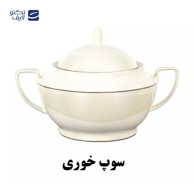 gallery-سرویس غذاخوری نیوبن 144 پارچه چینی پردیس مدل ویلیام 4007B copy.png