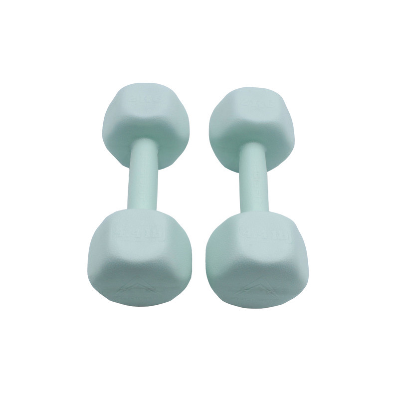 دمبل رادیس فیت مدل RPHF-2000P وزن 2 کیلوگرم بسته بندی دو عددی دمبل رادیس فیت مدل RPHF-2000P وزن 2 کیلوگرم بسته بندی دو عددی