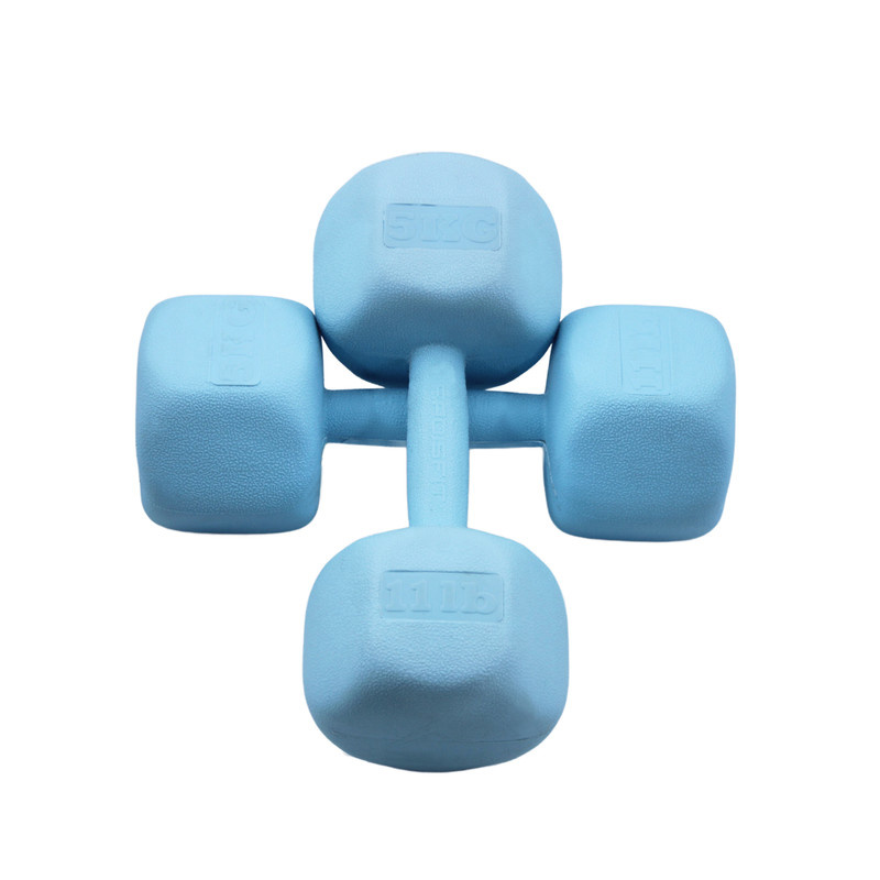 دمبل رادیس فیت مدل RPHF-5000-1625 وزن 5 کیلوگرم بسته بندی دو عددی دمبل رادیس فیت مدل RPHF-5000-1625 وزن 5 کیلوگرم بسته بندی دو عددی