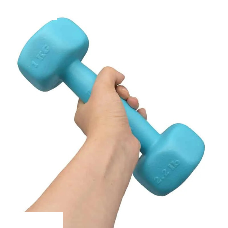 دمبل رادیس فیت مدل RFP1 وزن 1 کیلوگرم بسته 2 عددی دمبل رادیس فیت مدل RFP1 وزن 1 کیلوگرم بسته 2 عددی