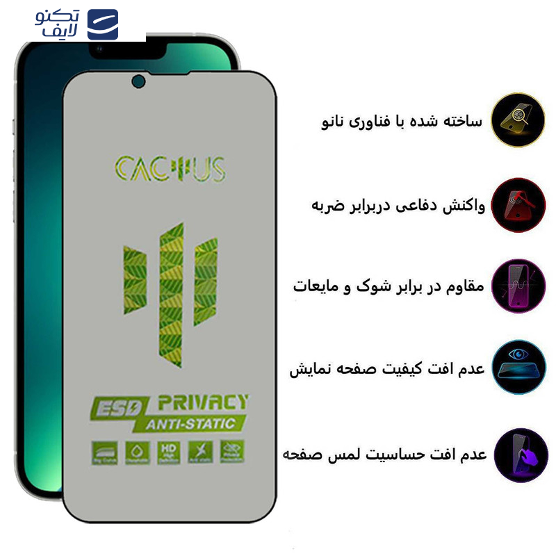 محافظ صفحه نمایش حریم شخصی اپیکوی مدل Cactus-ESD-Privacy مناسب برای گوشی موبایل اپل iPhone 16e/14/13 Pro/ 13