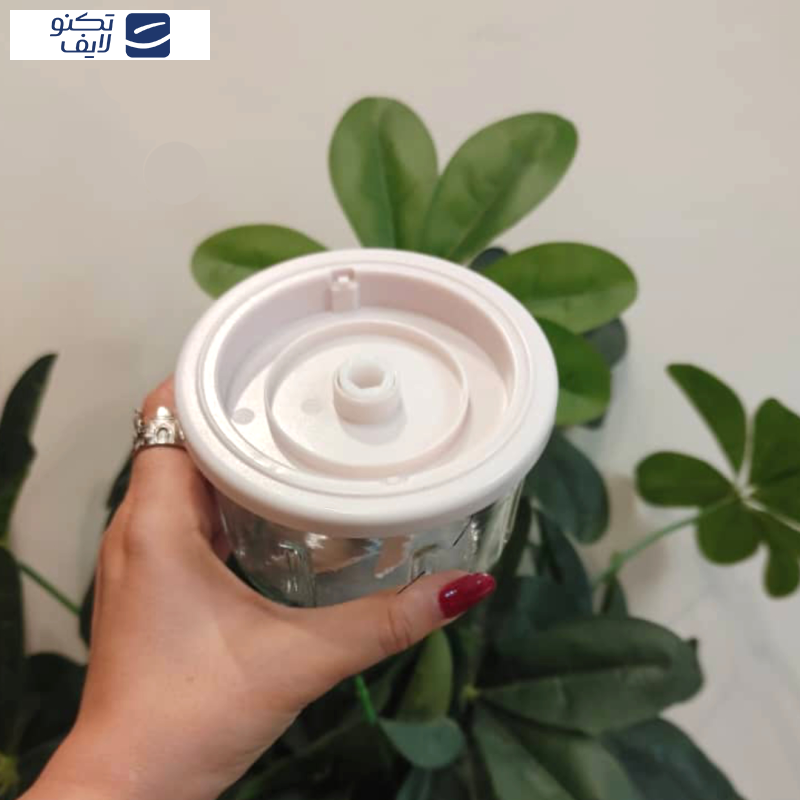 خردکن 0.25 لیتری ام دی اچ ال مدل HP-01