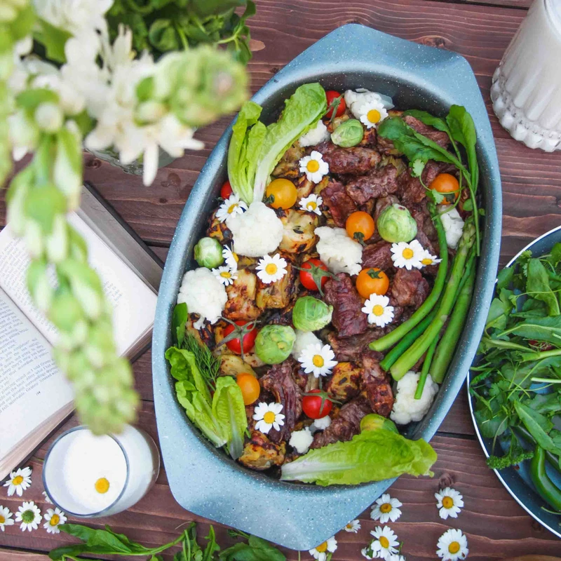 رستر کششی  تکنو مدل ونوس