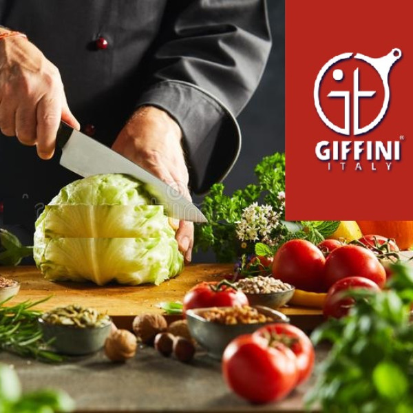 چاقو آشپزخانه جی فی نی مدل 2-5-2221 مجموعه 2 عددی