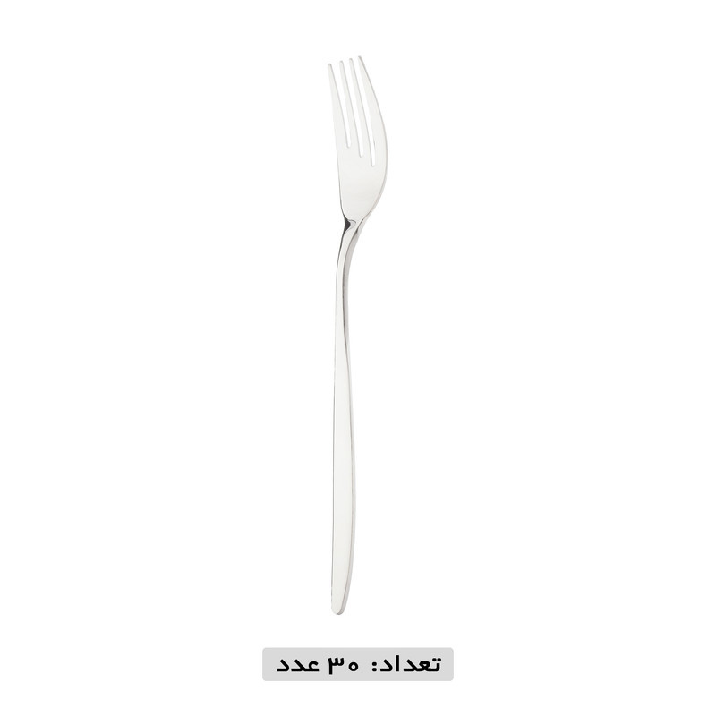 سرویس قاشق و چنگال 119 پارچه نایس بیوتی مدل 341M