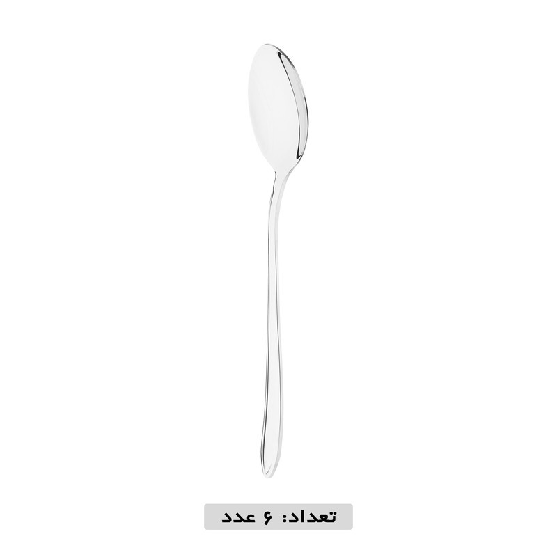 سرویس قاشق و چنگال 12 پارچه نایس بیوتی مدل 121
