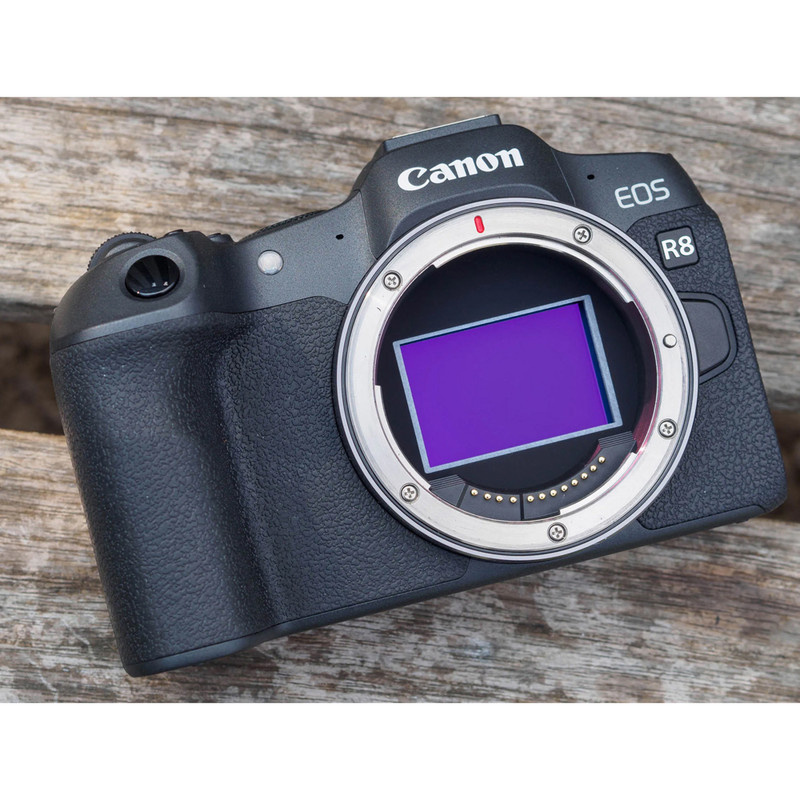 دوربین دیجیتال بدون آینه کانن مدل EOS R8