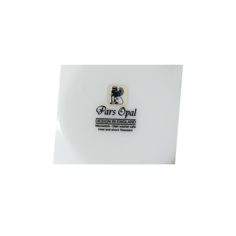 دیس پارس اُپال مدل M120 بسته 4 عددی