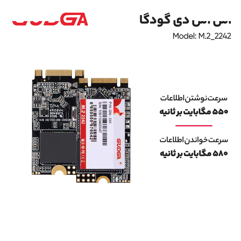 اس اس دی اینترنال گودگا مدل M.2_2242 ظرفیت 256 گیگابایت