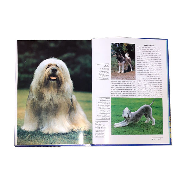 کتاب دنیای شگفت انگیز سگ ها اثر مارکوس اشنک و جیل کاروان انشارات جاجرمی کتاب دنیای شگفت انگیز سگ ها اثر مارکوس اشنک و جیل کاروان انشارات جاجرمی