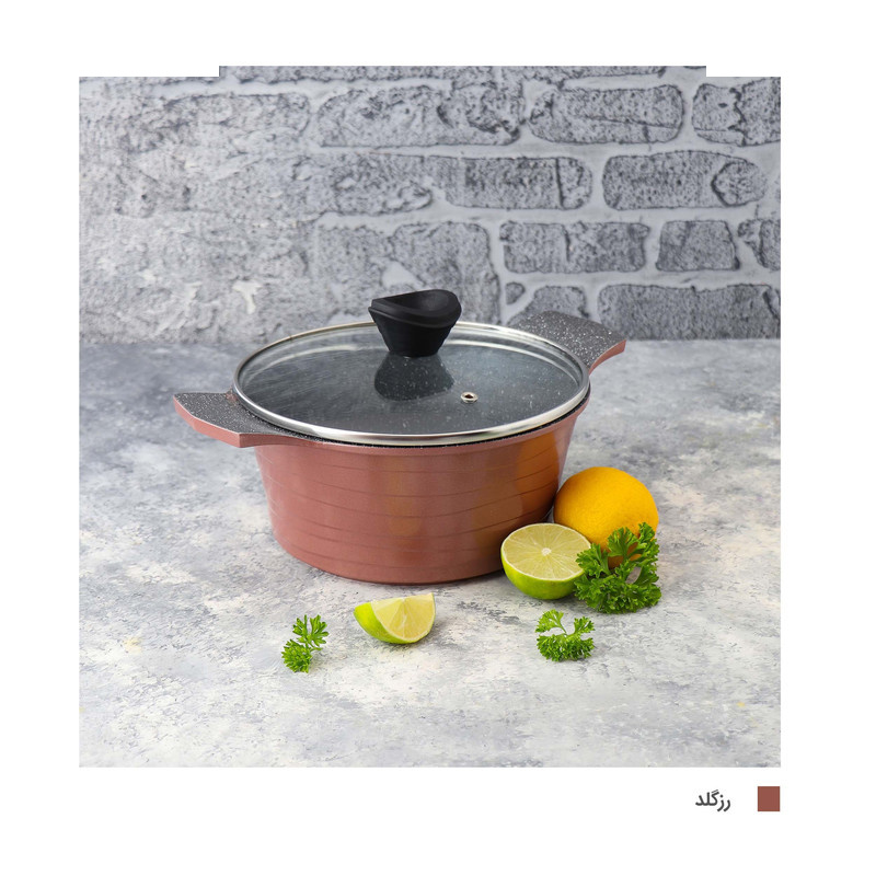 قابلمه دسینی مدل Rejina سایز 20 قابلمه دسینی مدل Rejina سایز 20