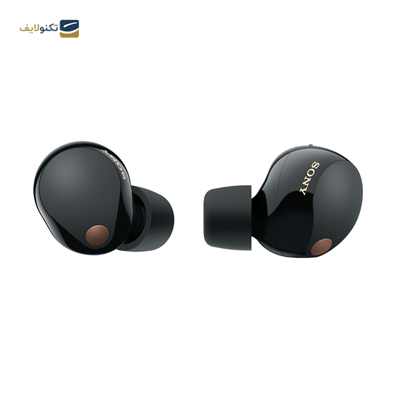 gallery- هندزفری بی سیم سونی مدل WF-SP800N copy.png