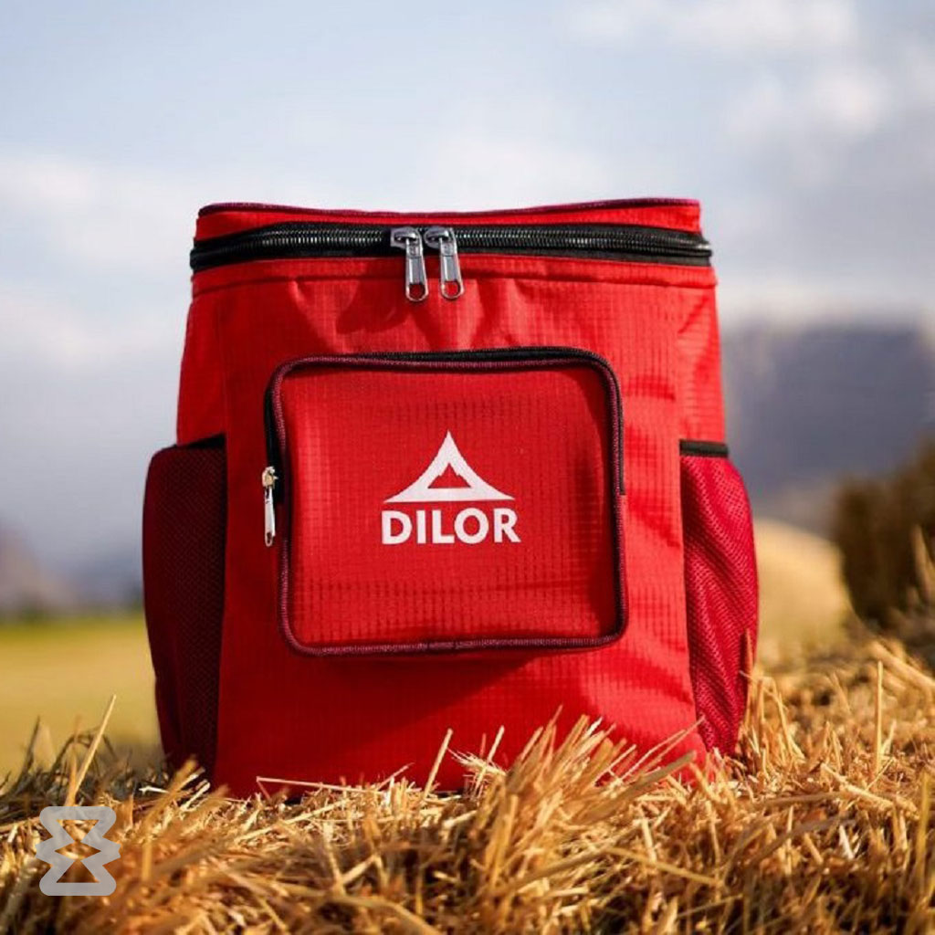 کول باکس دیلور مدل CHILL PACK کول باکس دیلور مدل CHILL PACK