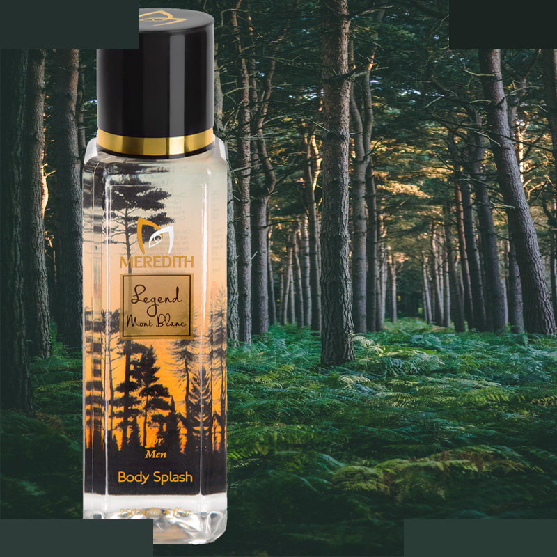 بادی اسپلش مردانه مردیت مدل legend حجم 250 میلی لیتر