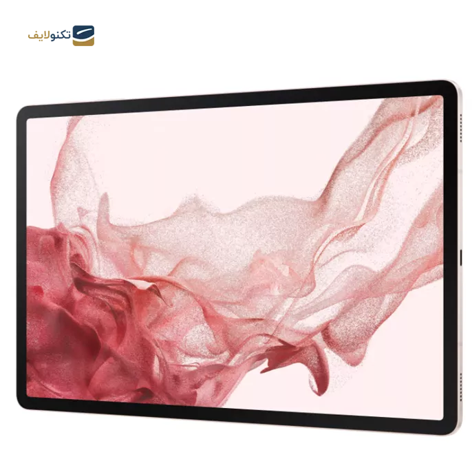 gallery- تبلت سامسونگ مدل Galaxy Tab S8 Plus 5G -X806 - ظرفیت 128 گیگابایت - رم 8 گیگابایت-gallery-2-TLP-6381_db24202b-d232-463a-9891-41fefada552d.webp