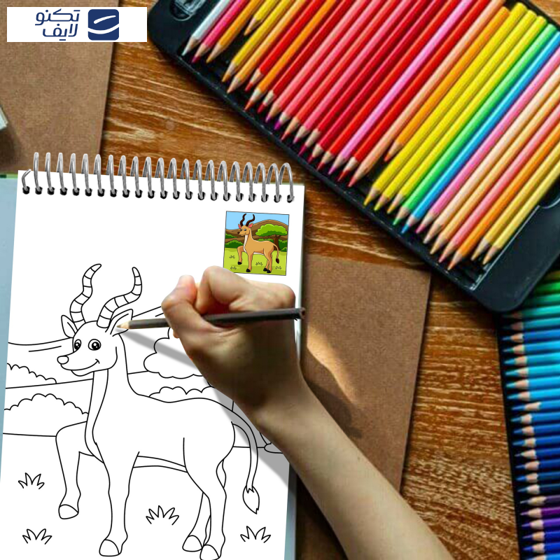 دفتر رنگ آمیزی مستر راد طرح رنگی کد 1669