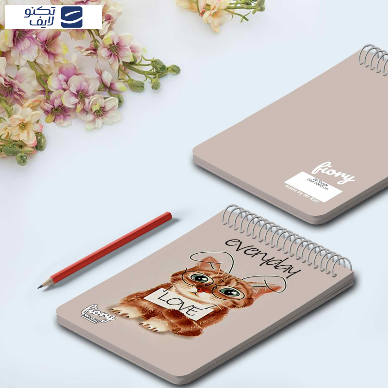 دفترچه یادداشت مستر راد طرح گربه فانتزی کد fiory 1774