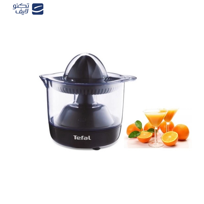 آب مرکبات گیر تفال مدل ZP12E838