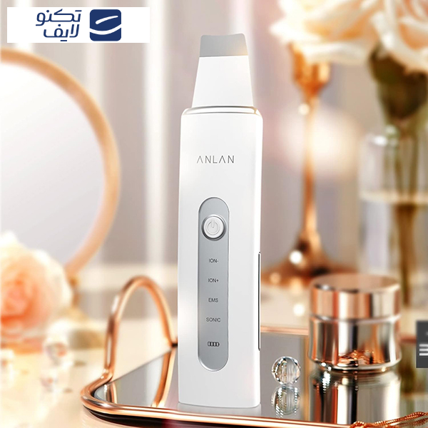 اتو صورت آنلن مدل 8801