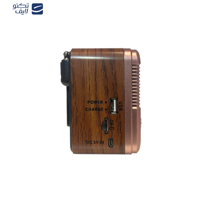 رادیو بلوتوثی گولون مدل RX-BT6060S