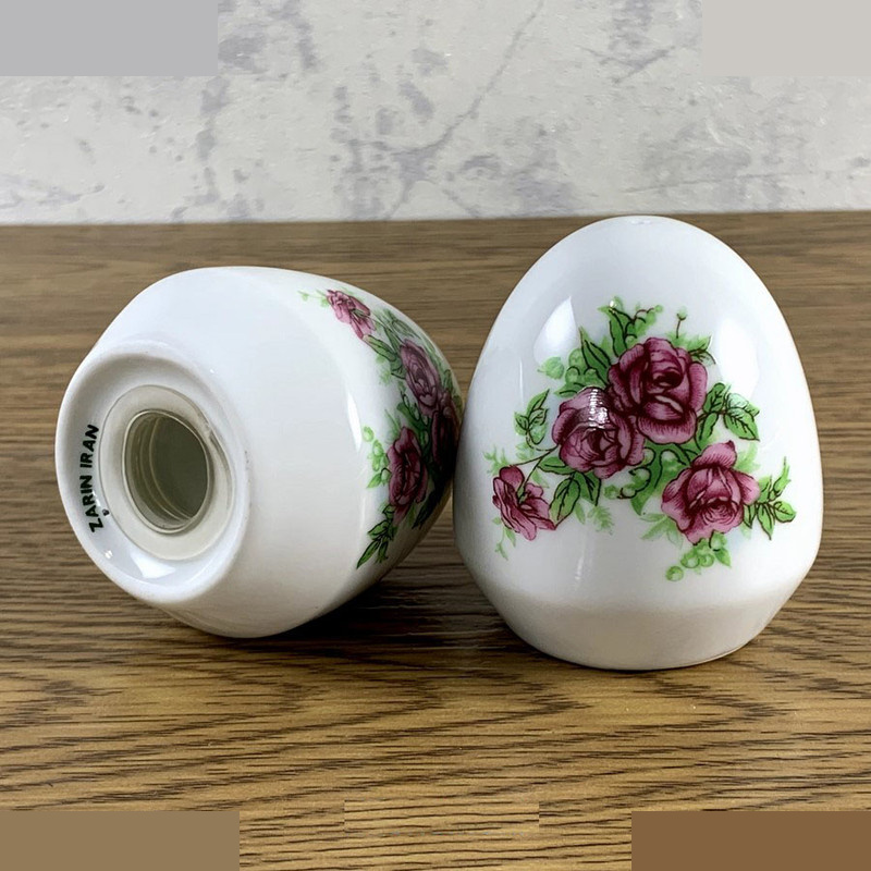 ست نمک پاش و فلفل پاش چینی زرین ایران مدل بیدگل درجه عالی