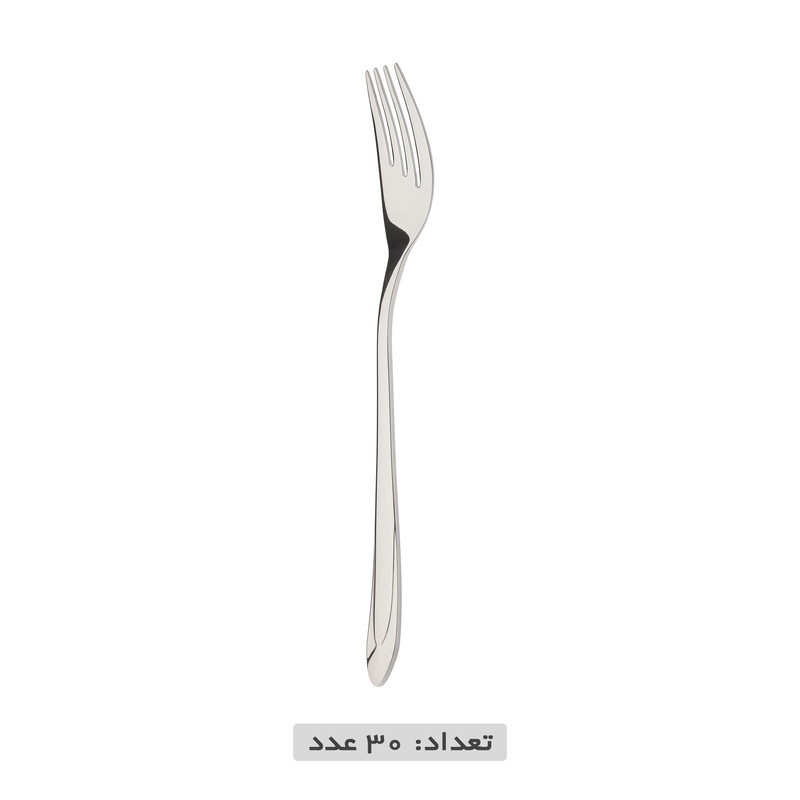 سرویس قاشق و چنگال 119 پارچه نایس بیوتی مدل 122M