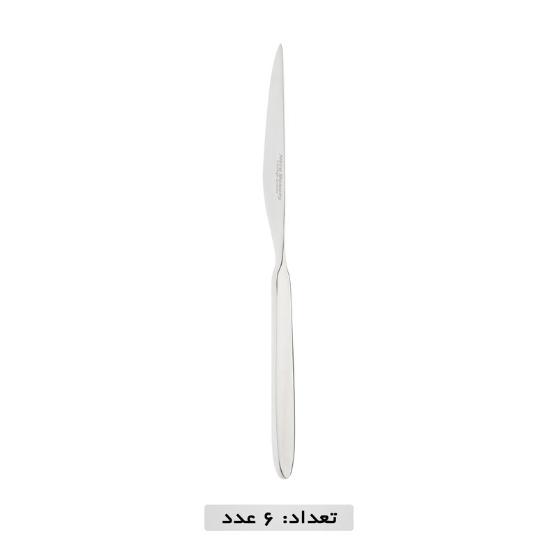 سرویس قاشق و چنگال 119 پارچه نایس بیوتی مدل 341M