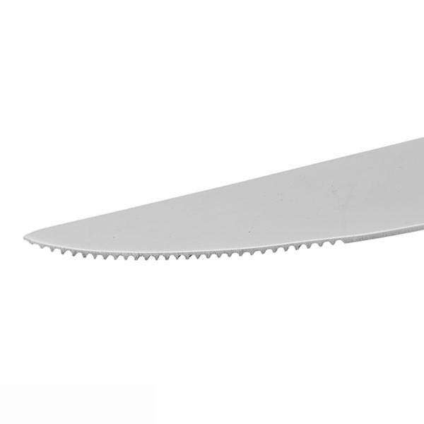 کارد استیک صنایع استیل ایران مدل پاشا 2 براق