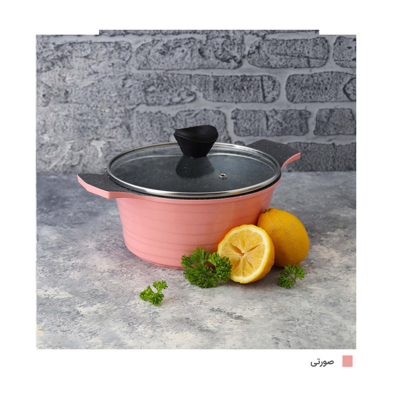 قابلمه دسینی مدل Rejina سایز 20 قابلمه دسینی مدل Rejina سایز 20