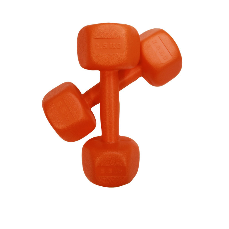 دمبل رادیس فیت مدل RPHF-2500 وزن 2.5 کیلوگرم بسته دو عددی دمبل رادیس فیت مدل RPHF-2500 وزن 2.5 کیلوگرم بسته دو عددی