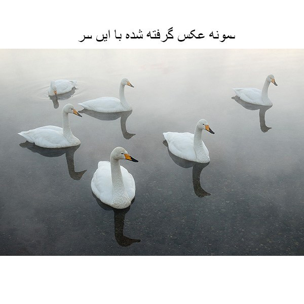 لنز کانن EF 24-70mm f/2.8L II USM