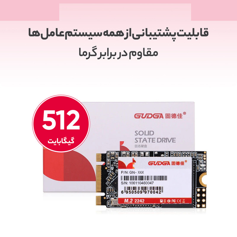 اس اس دی اینترنال گودگا مدل M.2_2242 ظرفیت 512 گیگابایت