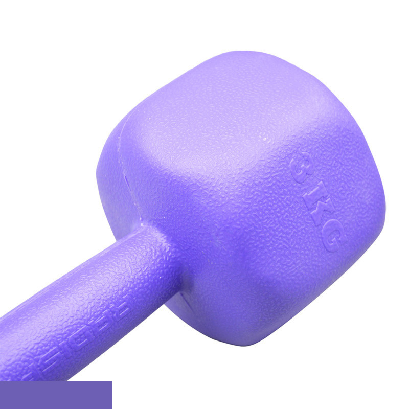 دمبل رادیس فیت مدل RPHF-3000 وزن 3 کیلوگرم بسته 2 عددی دمبل رادیس فیت مدل RPHF-3000 وزن 3 کیلوگرم بسته 2 عددی