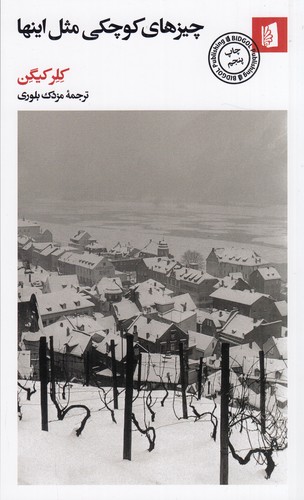 کتاب چیزهای کوچکی مثل اینها نشر بیدگل