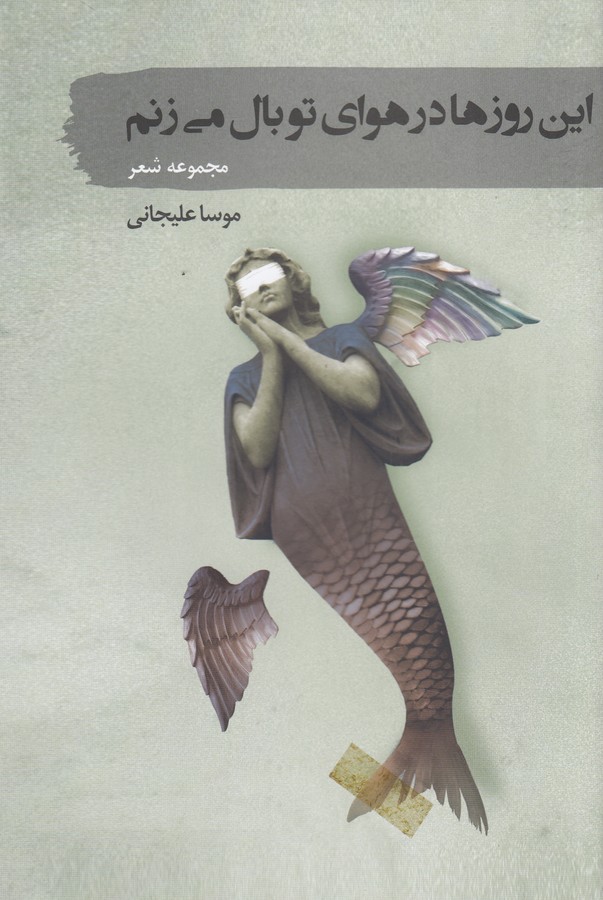 کتاب این روزها در هوای تو بال می زنم نشر سمام