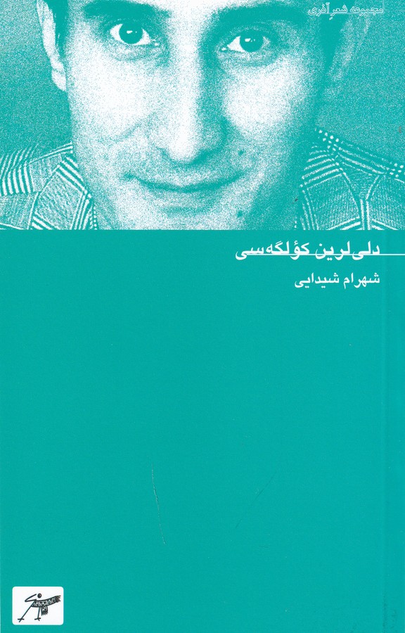 کتاب دلی لرین کولگه سی نشر کلاغ سفید