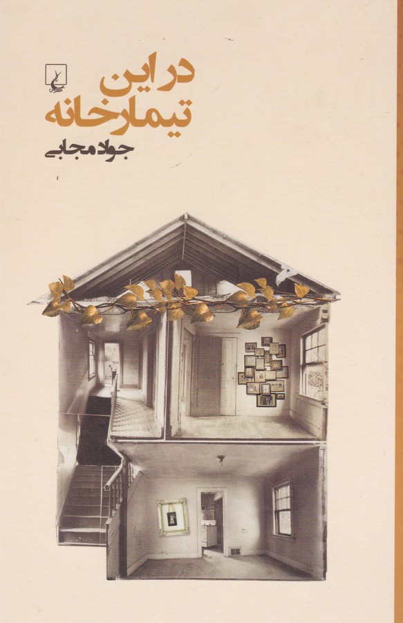 کتاب در این تیمارخانه نشر ققنوس