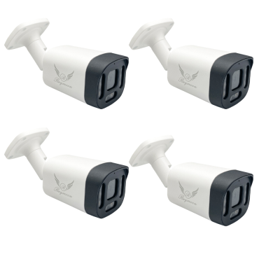 دوربین مداربسته AHD رایمون مدل 8313 بسته چهار عددی 2 مگاپیکسل