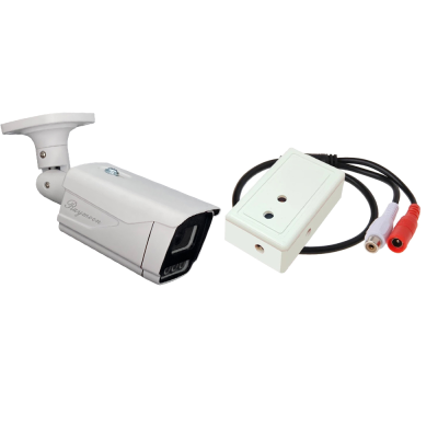 دوربین مداربسته AHD رایمون مدل 8312 به همراه میکروفون