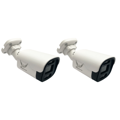 دوربین مداربسته تحت شبکه رایمون مدل 8235 بسته دو عددی