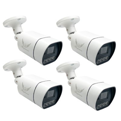 دوربین مداربسته تحت شبکه رایمون مدل 60Q بسته چهار عددی 5 مگاپیکسل 