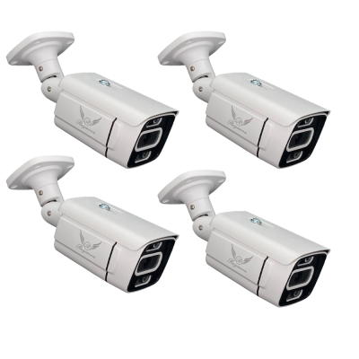 دوربین مداربسته تحت شبکه رایمون مدل 8302 بسته چهار عددی