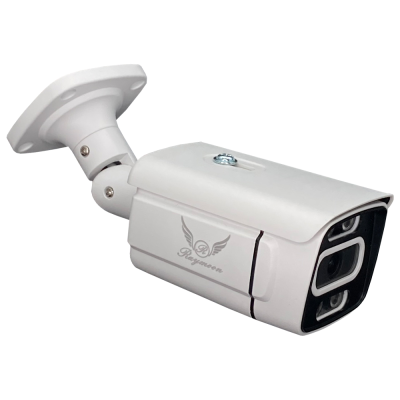 دوربین مداربسته تحت شبکه رایمون مدل POE کد 8302